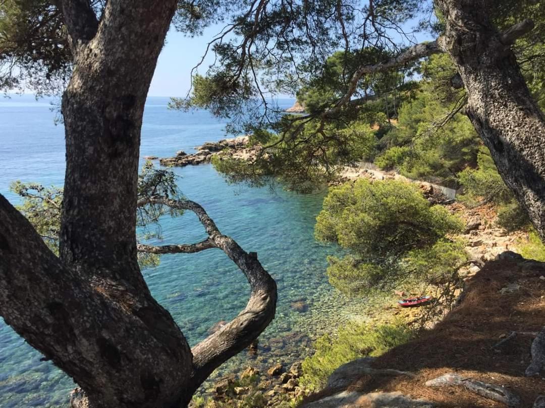 Villa Cocody Bandol Exterior foto